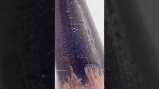 Pencil Graphite In Microscope #art #shorts