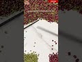 Using chopsticks to quickly sort red beans and mung beans mixed together