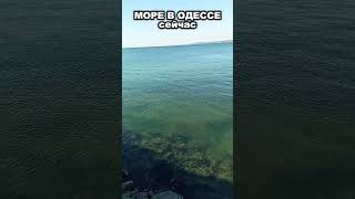 Море В Одессе 09.10.2025 – Тёплая Вода, Пляж, Погода Сегодня, Осень В Одессе, Отдых На Море 🌊☀️ 1