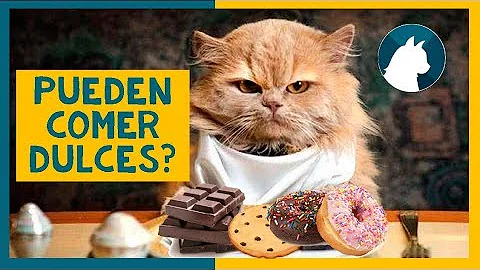 ¿Pueden los gatos comer caramelo?