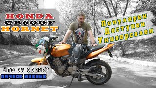 [Личное мнение] Honda CB600f hornet | Один из самых популярных городских