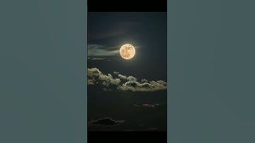 إن في ذلك لعبرة لأولي الأبصار ... من سورة النور