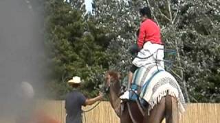 Abhi camel ride -