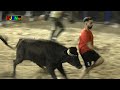 Encierro toros y vaquillas enfundadas Hnos Belles - Nules 13-10-2023 Bous Al Carrer [Toros FJGNtv]