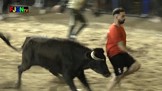 Encierro toros y vaquillas enfundadas Hnos Belles - Nules 13-10-2023 Bous Al Carrer [Toros FJGNtv]