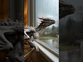 First time seeing rain... he just stayed there 🌧🐉 #shorts