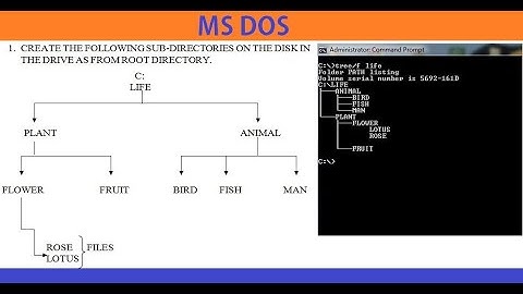 Tree Structure Directory and  Files Create in MS DOS