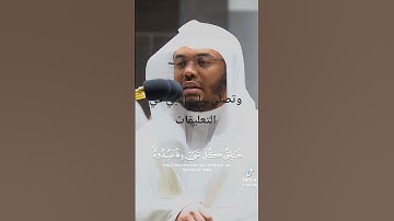 "ذلكم الله ربكم لا اله الا هو " تلاوه عراقيه ياسر بن راشد الدوسري #لايك