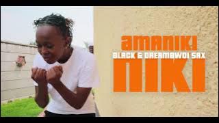 Dj Lag - Amanikiniki ( official dance cover)