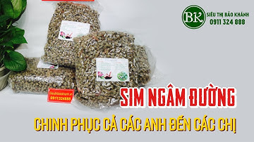 Cách ngâm sim với đường trắng chinh phục từ các anh đến các chị | Hotline 0911324888