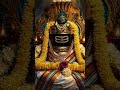 om siva #love #thiruvannamalaisongs #hindupilgrimage #devotionalsongs #shivetemple #hindutemple