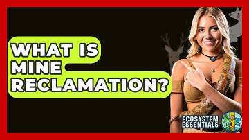 What Is Mine Reclamation? - Ecosystem Essentials