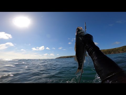 UK Spearfishing the Llyn Peninsula, North Wales Lobster, Crab, wood fired Mullet,