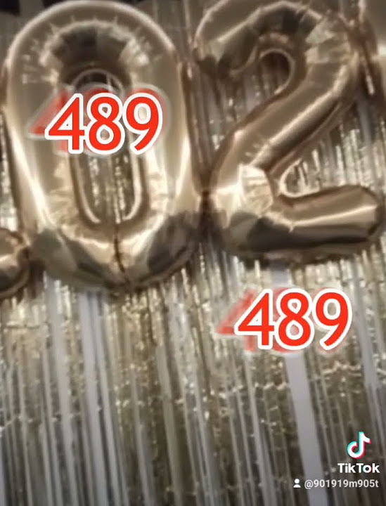 489 meme 2024 VS 2025 and 2025 wins YouTube