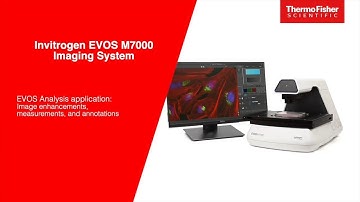EVOS M7000 Analysis application: Image enhancements, measurements and annotations