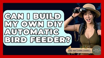 Can I Build My Own DIY Automatic Bird Feeder? - Bird Watching Diaries