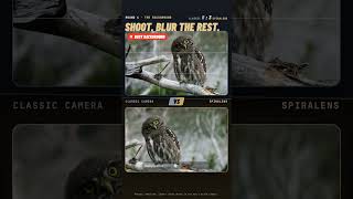Classic Camera vs Spiralens: Same Shot, Golden Ratio Framing  #goldenratio #photographytips