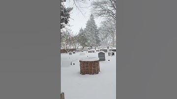Winter 2025 🌨❄️🥶 a Winter to remember #january2025 #delawareusa #world #usa #snowing