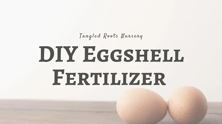 DIY Eggshell Fertilizer | Plant Care 101 | Tangled...