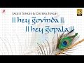 Hey govinda hey gopala  jagjit singh  chitra singh  hindi