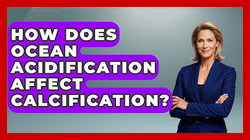How Does Ocean Acidification Affect Calcification? - Explaining Ecology