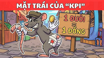 Tại Sao KPI Đang Phá Hủy Công Ty Và Cuộc Đời Bạn?  (Hiệu Ứng Rắn Hổ Mang)