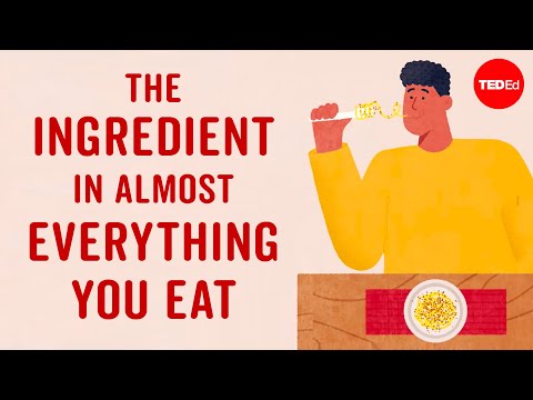 The ingredient in almost everything you eat - Francesca Bot thumbnail