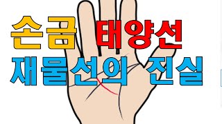 #손금재물선 #태양선의 진실  #자기계발