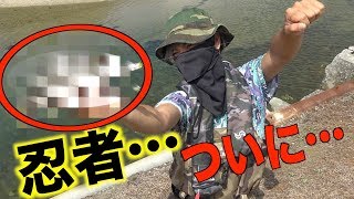 温厚すぎる男がブチギレ…その理由が意外すぎた…[忍者フィッシュ　後半]