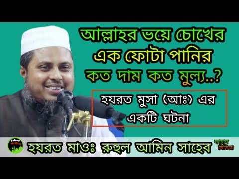 ভিডিও: তৈমুর শবায়েভ: "নেদারল্যান্ডসে পৌরসভার প্রতিনিধিদের চোখ জ্বলছে: তারা সত্যই তাদের শহরটিকে আরও উন্নত করতে চায়"