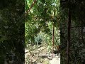 Херсон. 13.08.25. Дрон над районом