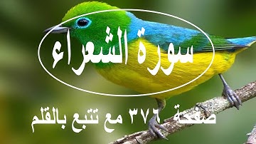 سورة الشعراء صفحة ٣٧٦ مع تتبع القلم تلاوة مرئية