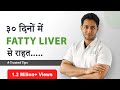 What is fatty liver  treat fatty liver  say bye bye to fatty livers in 30 days