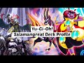 Yu-Gi-Oh! Salamangreat Deck Profile