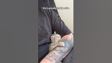 The missile is not eepy