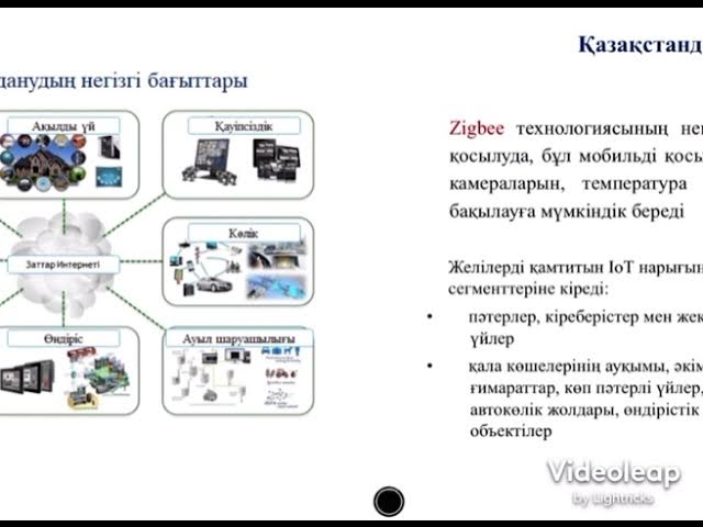 Писканың ішіндегі секс мүшесі