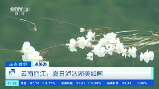 [正点财经]避暑游 云南丽江：夏日泸沽湖美如画| 财经风云