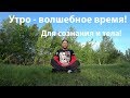 Утро - волшебное время для сознания и тела!