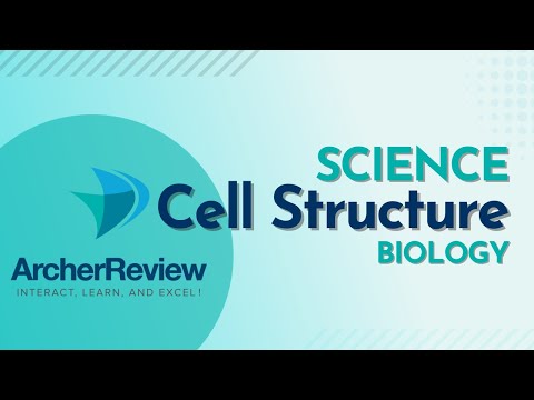 CELL Structure & Functions - TEAS7 ( ATI-TEAS) - Archer Review Webinar