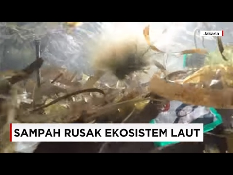 sampah-rusak-ekosistem-laut