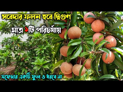 ভিডিও: উন্নত বাগান করার কৌশল: দ্বিতীয় বছরের মালীর জন্য টিপস