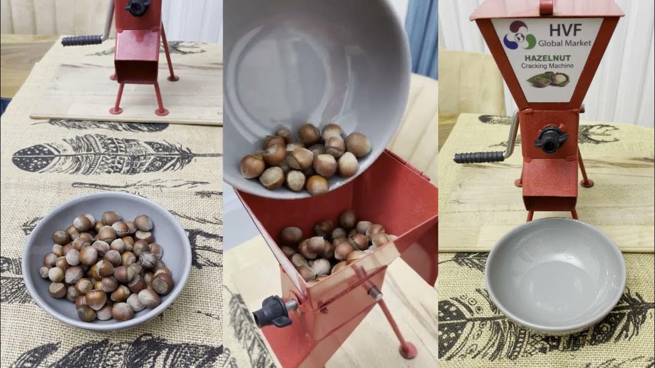 HAZELNUT CRACKING MACHINE HVF GLOBAL MARKET YouTube