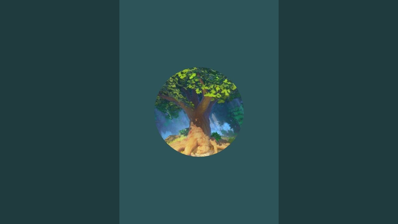 уголок медведя в прямом эфире!