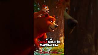 Ayi Ve Si̇ncapin Karşilaşma Hi̇kayesi̇