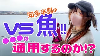 【愛知】釣り女子、釣れないので検証してみる！＊魚に○○は通用するのか！？＊