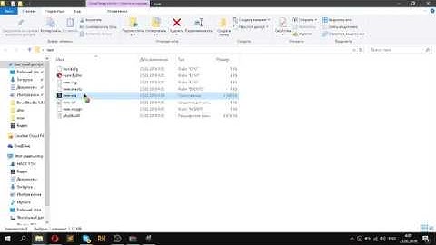 Защита проектов на DevelStudio | BorisSoftware