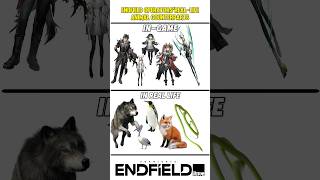 ENDFIELD OPERATORS'REAL-LIFEANIMAL COUNTERPARTS #arknightsendfield #endfield #arknights #fyp