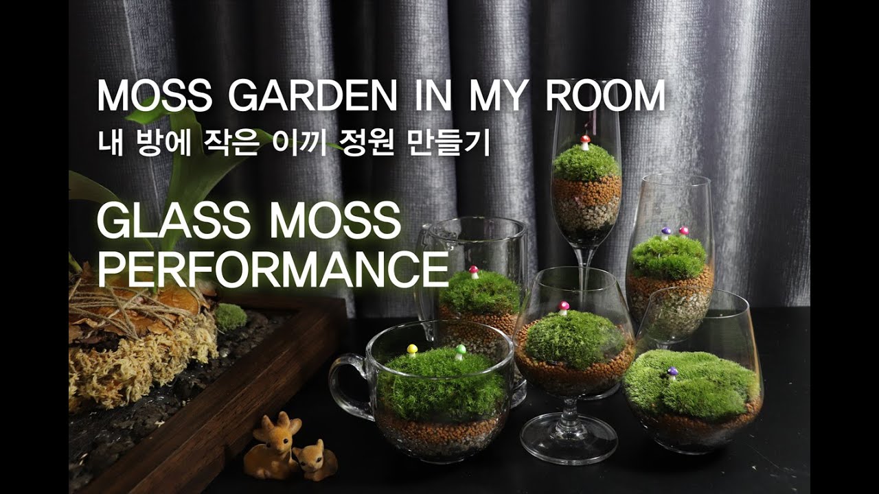 MAKING MOSS GARDEN IN WINE GLASSㅣ유리잔을 이용해 작은 이끼 정원 만들기ㅣGLASS MOSS TERRARIUMㅣ이끼 키우기ㅣGROW MOSS