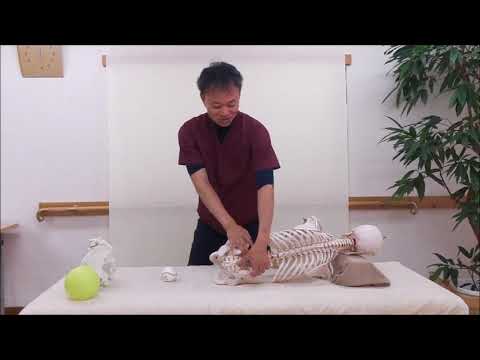how to] How to use your body to transmit 100% of the