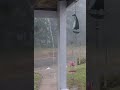 Severe Thunderstorm with heavy rain in PA #nature #rain #thunderstorm